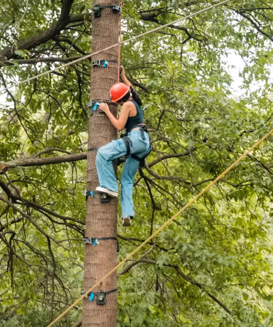 Ape Climb