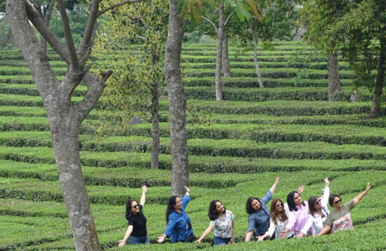 Tea Garden Walking Tour