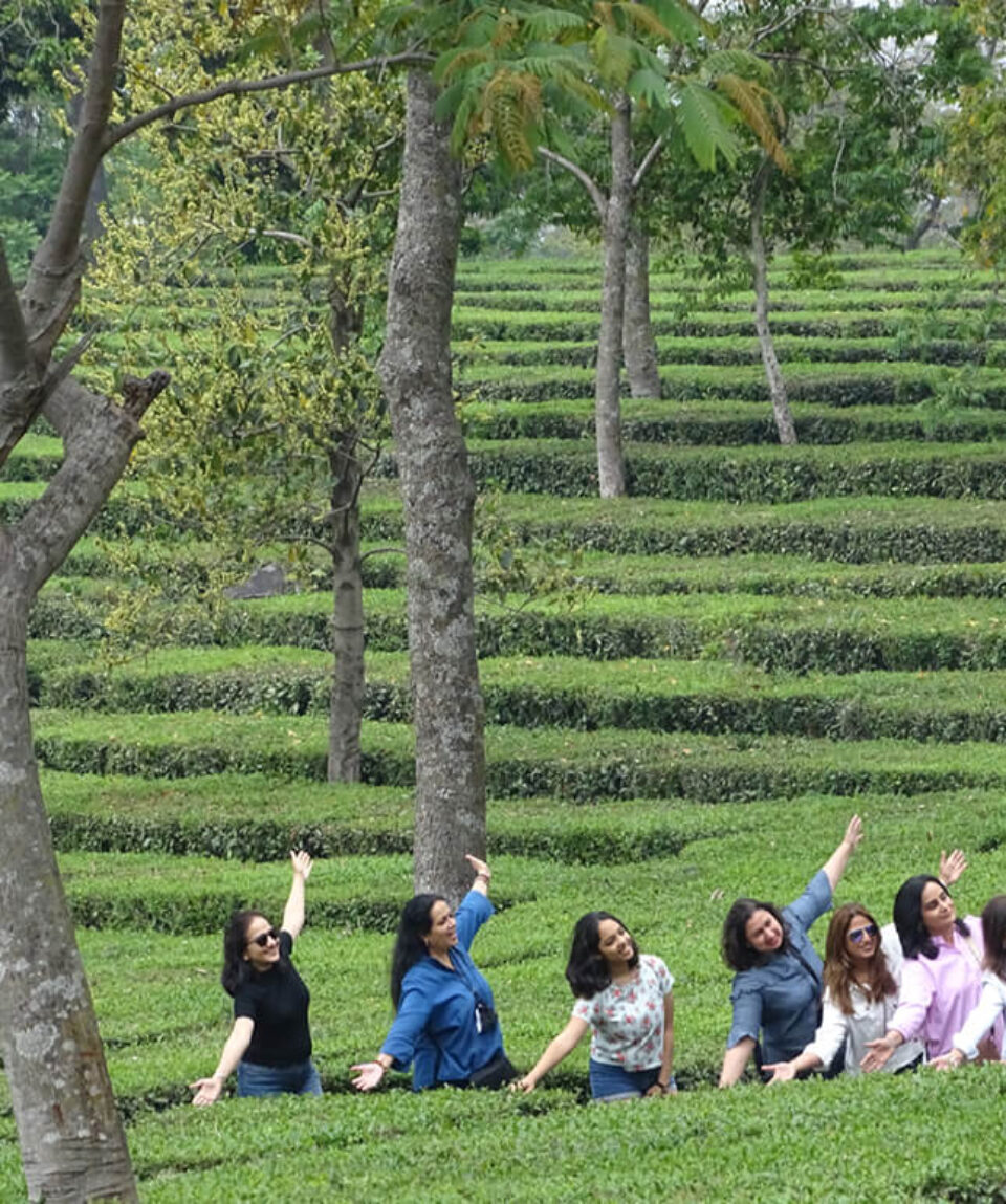 Tea Garden Walking Tour