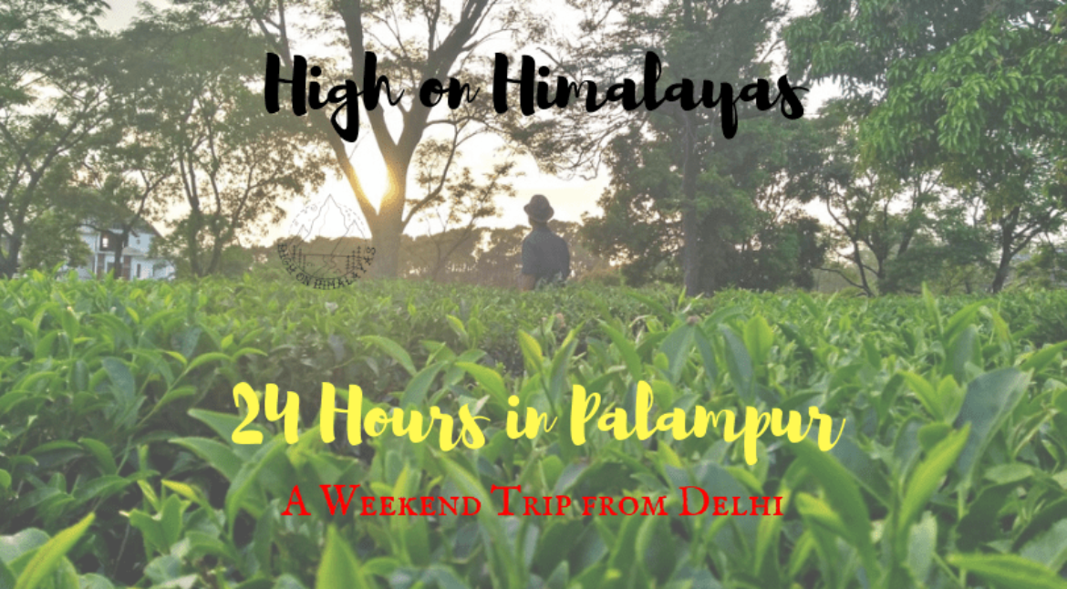 One-Day-in-Palampur