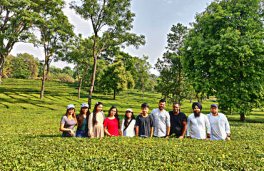 Tea Garden Tour