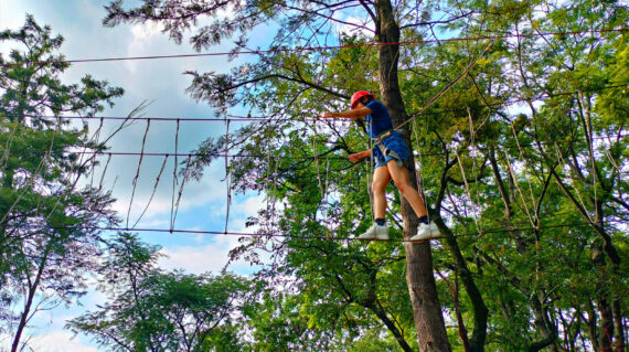 best-tree-top-adventure-in-palampur