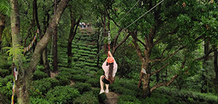 Zipline