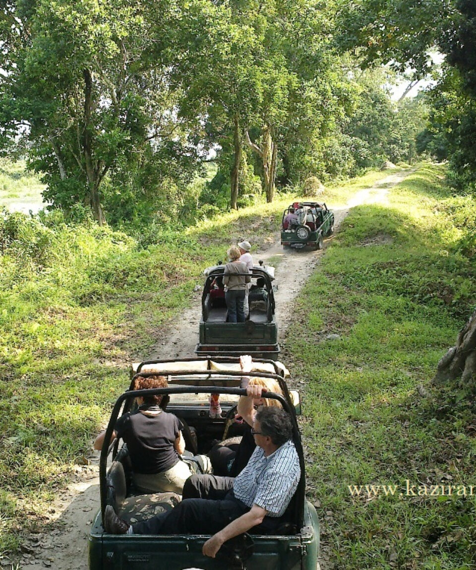 Jeep Safari Kaziranga