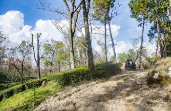 Things to do inpalampur