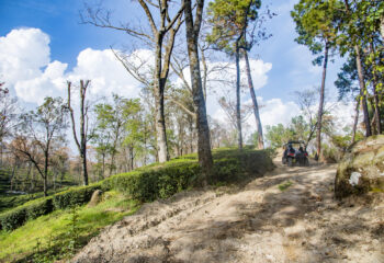 Things to do inpalampur
