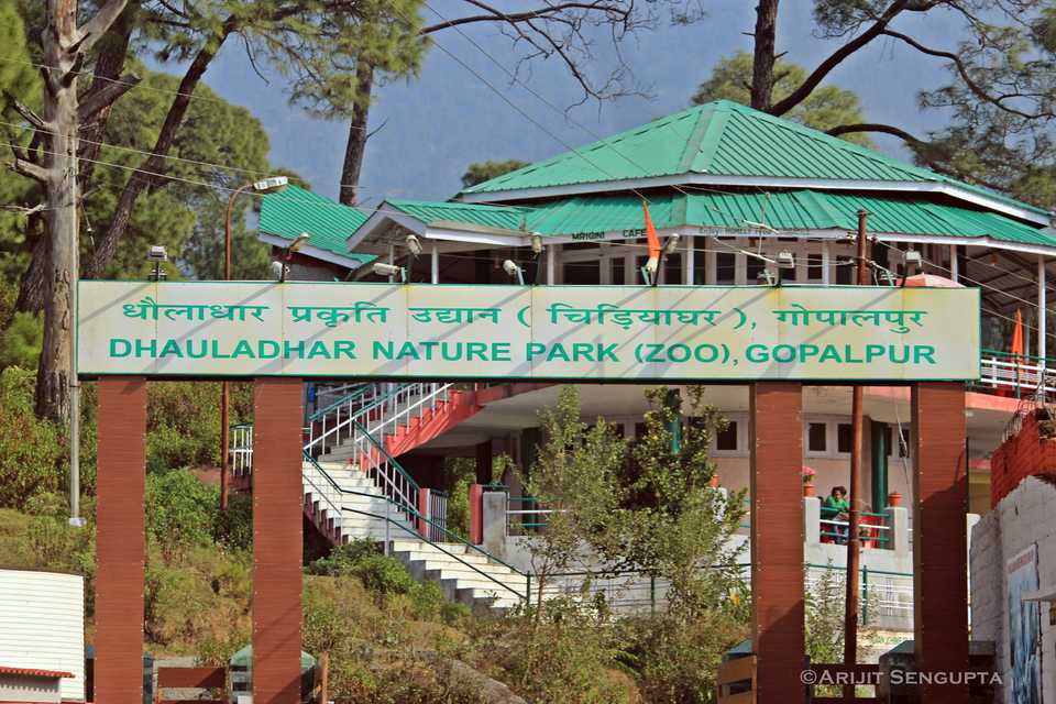 Dhauladhar National Park - Places to visit near palampur