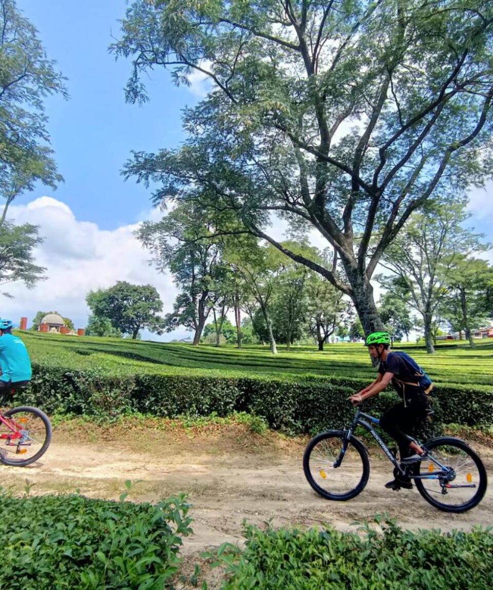 ACTIVITIES IN PALAMPUR MTB RIDES