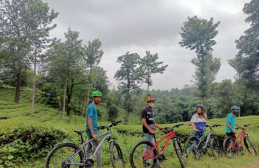 CYCLING TOURS IN PALAMPUR