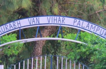 Saurabh Van Vihar, Palampur