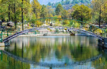 Lake inside Saurabh Van Vihar, Palampur