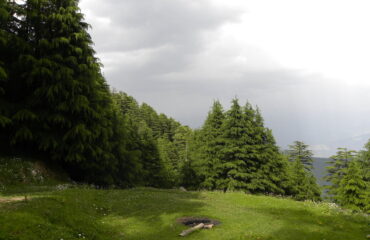 Kalatop Wildlife Sanctuary, Dalhousie