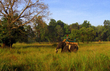 Kanha_National_Park_03