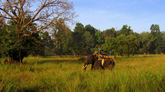 Kanha_National_Park_03