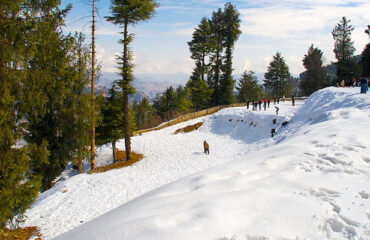 Kufri, Shimla covered in snow