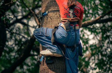 Ape Climb Activity in Palampur at Himalayan Adrenaline