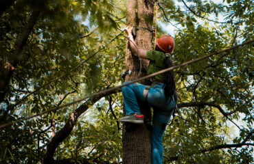Ape Climb Activity in Palampur