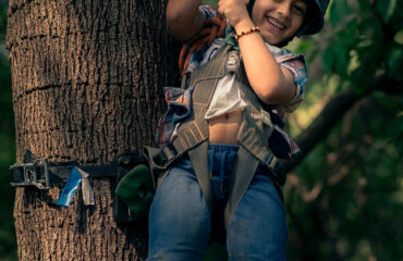 Ape Climb Activity Best Activity to do in Palampur