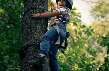 Ape Climb Activity in Palampur at Himalayan Adrenaline