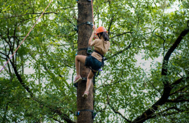 Ape Climb Activity in Palampur