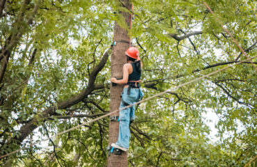 Ape Climb Activity in Palampur