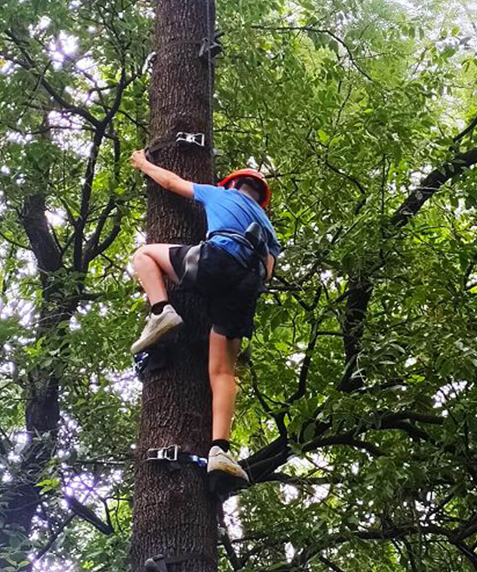 ape-climb-tree-climbing-adventure-activities-in-himachal-pradesh-feature-image