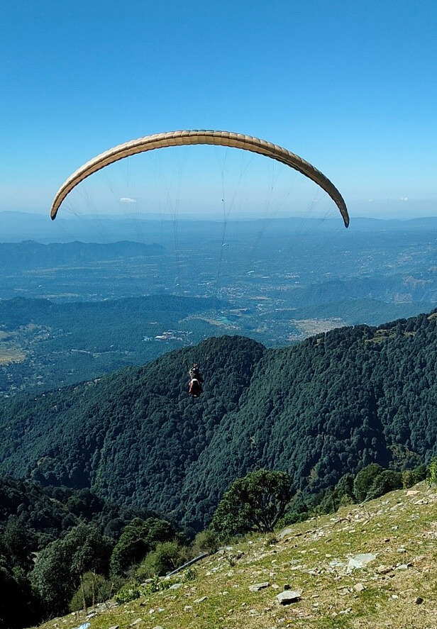 8 Best Things to Do in Palampur - Paragliding