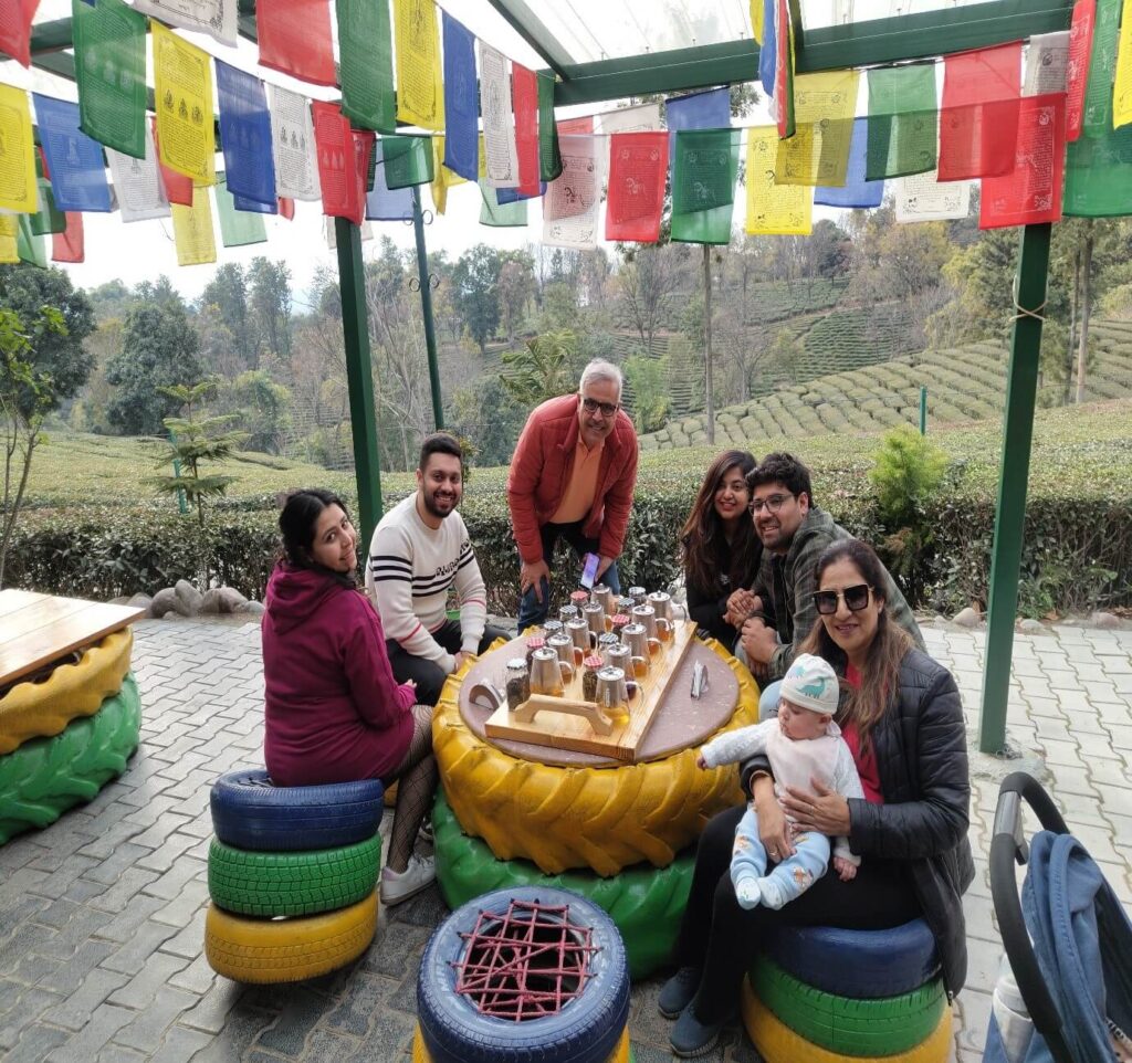 8 Best Things to Do in Palampur - Tea Tasting Sessions
