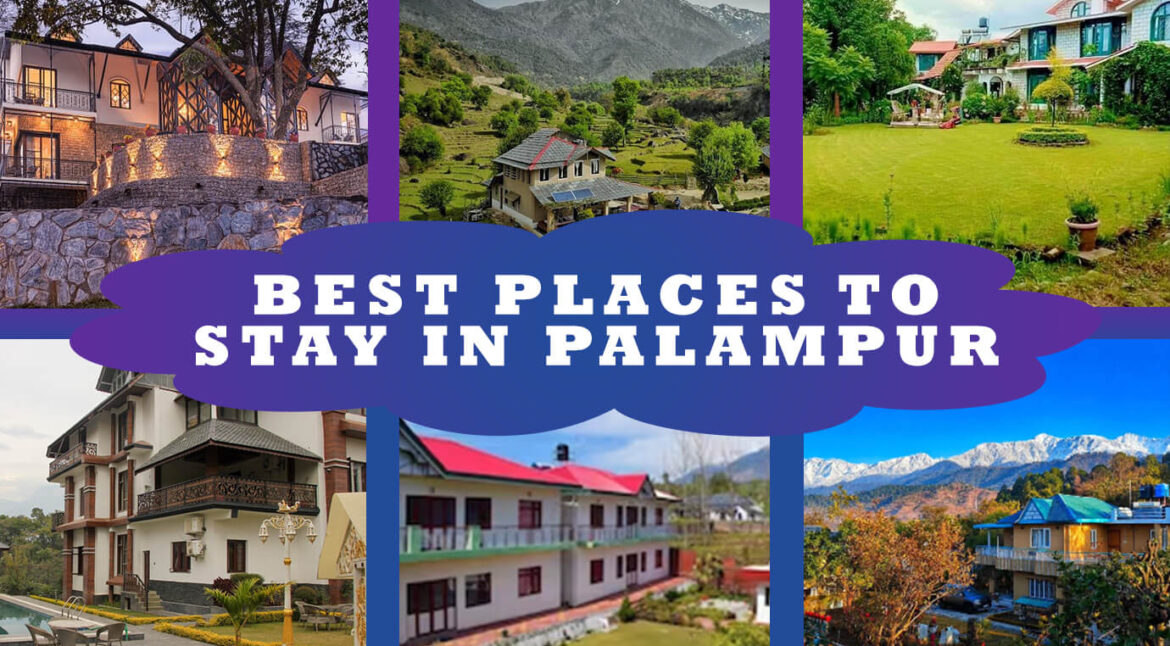 Best Places to Stay in Palampur