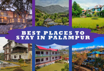 Best Places to Stay in Palampur