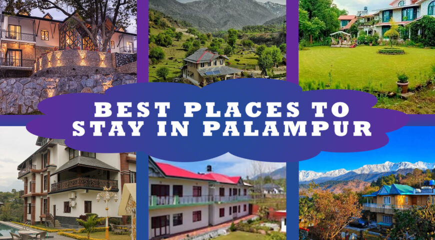 Best Places to Stay in Palampur