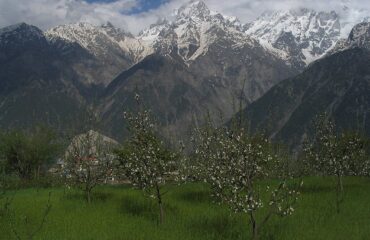 Kalpa Himachal Pradesh