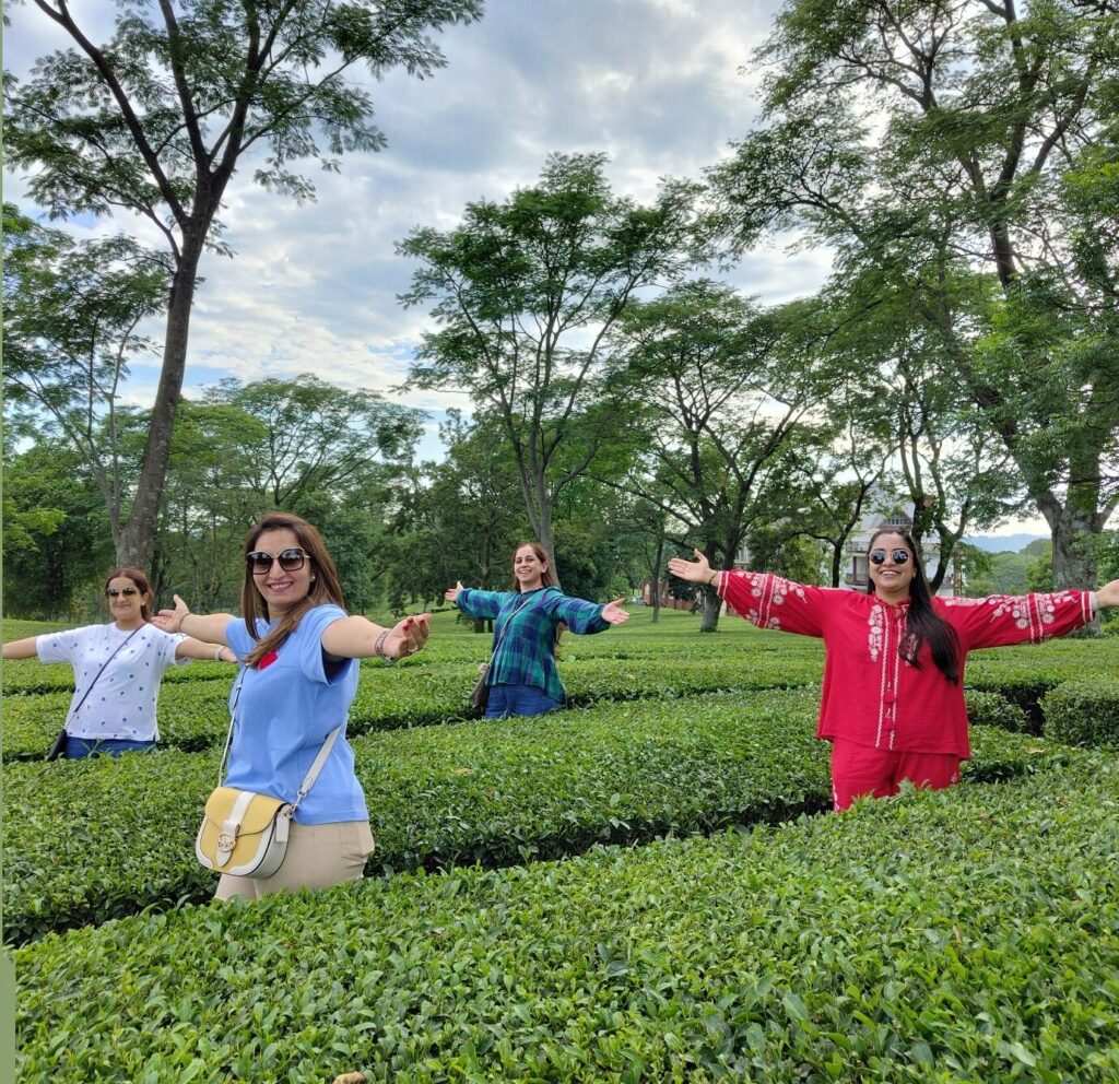 Tea Garden Tour
