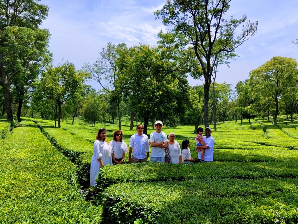 Tea Garden Tour
