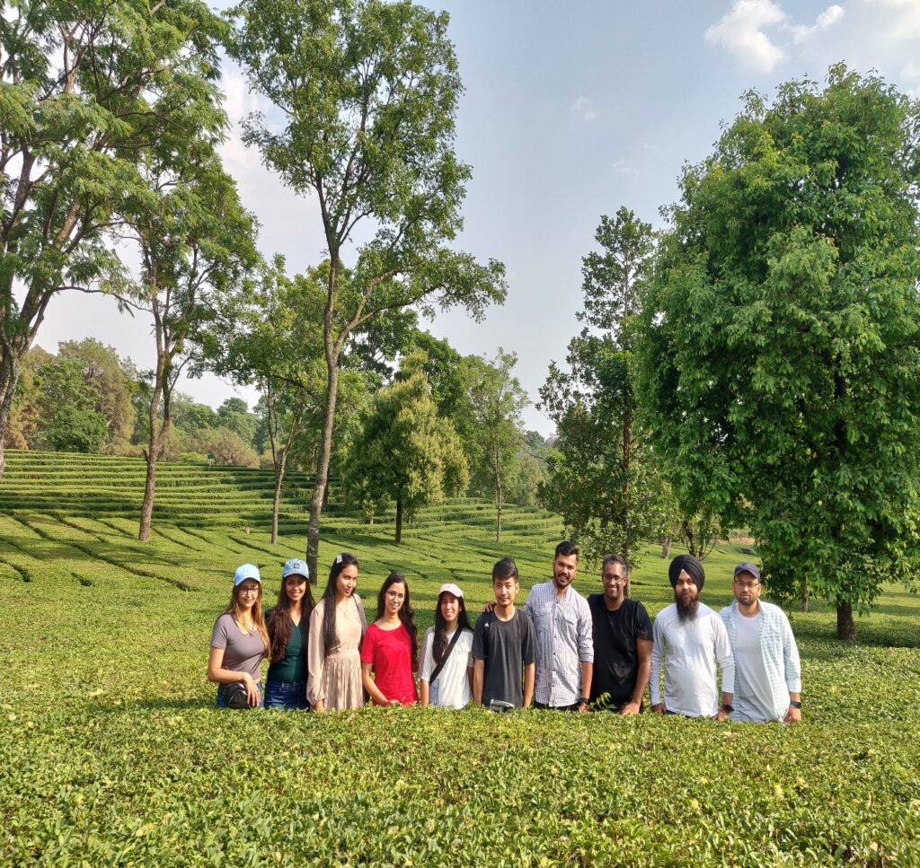 Tea Garden Tour