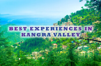 Best Experiences in Kangra Valley