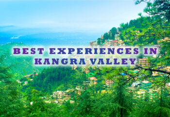 Best Experiences in Kangra Valley