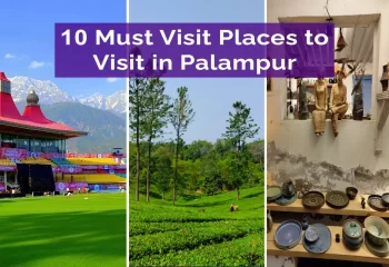 10 Must Visit Places to Visit in Palampur