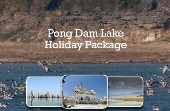 Pong Dam Lake Holiday Package – Best Weekend Getaway