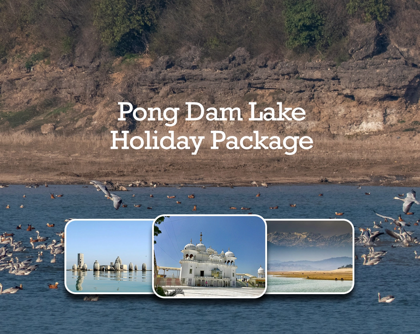 Pong Dam Lake Holiday Package – Best Weekend Getaway