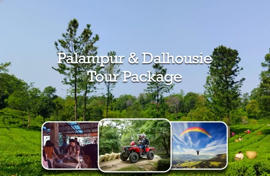 Palampur & Dalhousie Weeklong Himachal Tour Package