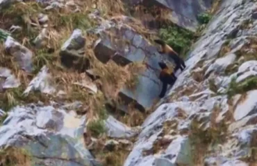 Hiking in Palampur