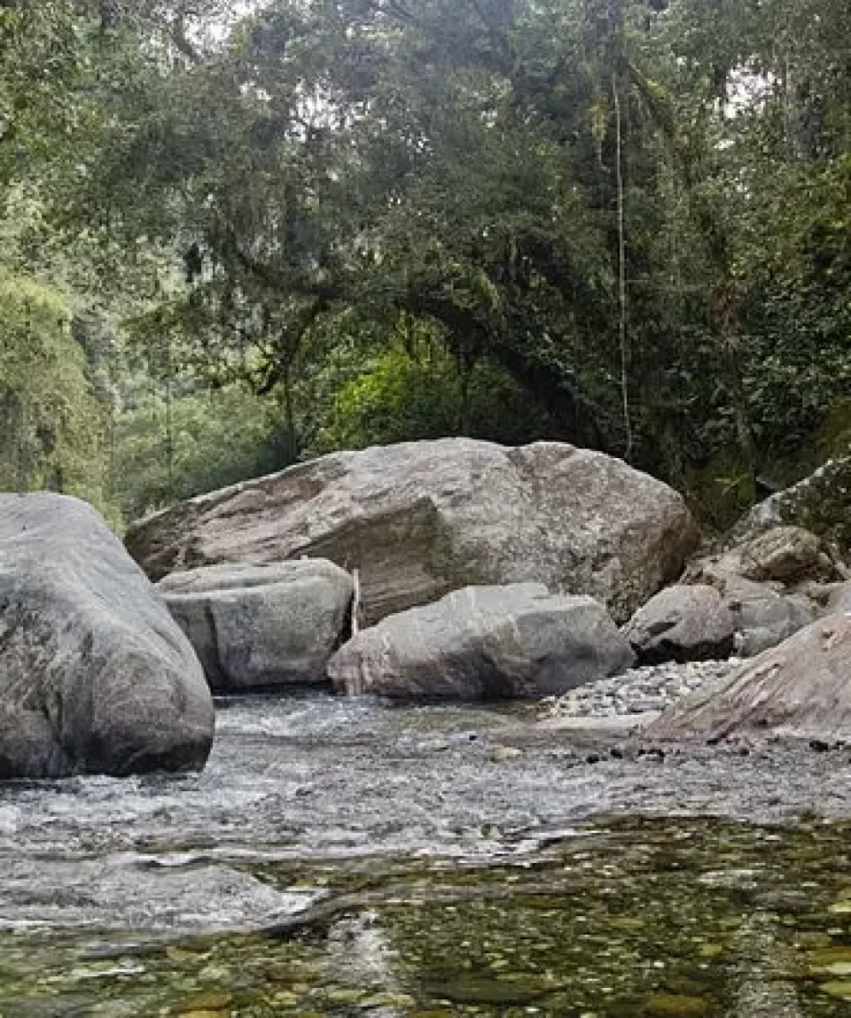 riverside-hiking-in-palampur