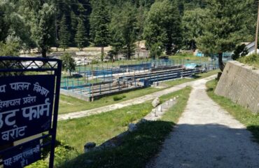trout fish farming in barot