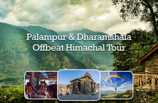 Palampur & Dharamshala Offbeat Himachal Tour Package