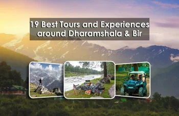 19 Best Tours and Experiences Around Dharamshala and Bir