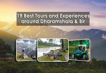 19 Best Tours and Experiences Around Dharamshala and Bir