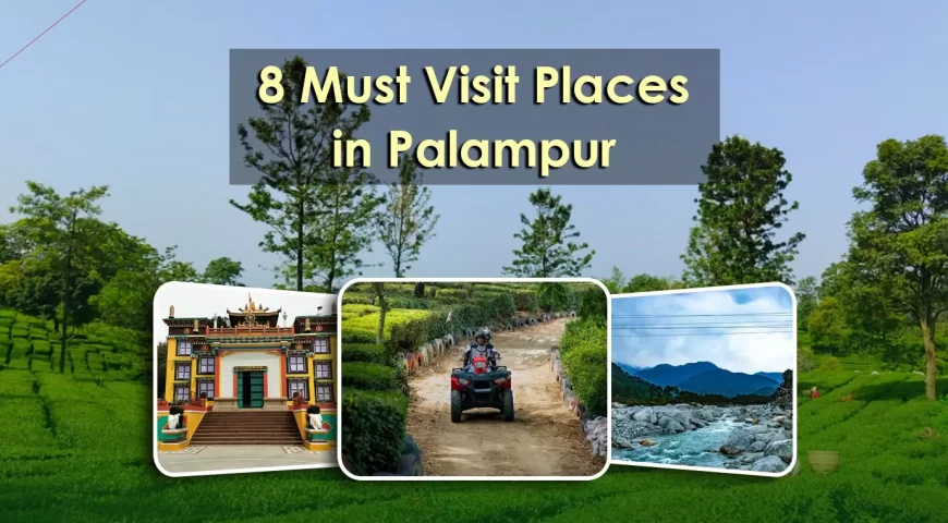 8 Must Visit Places in Palampur