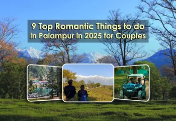 9 Top Romantic Things to do in Palampur in 2025 for Couples