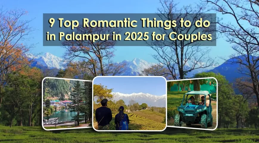 9 Top Romantic Things to do in Palampur in 2025 for Couples